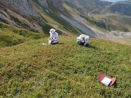 Hier ist eine Untersuchung im Bjelasica-Gebirge in Montenegro zu sehen.