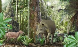 Künstlerische Darstellung des Ökosystems im Geiseltal vor 47 Millionen Jahren: Urpferd Propalaeotherium links, dem frühen Tapir Lophiodon in der Mitte und einem Krokodil Bergisuchus im Hintergrund.  