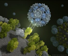 Phagenhülle dockt an und inhibiert das Influenza-Virus 