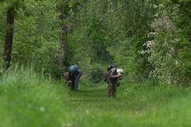 Citizen Science