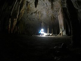 Höhlenmineralien (Speläotheme) in einer Höhle in Brasilien