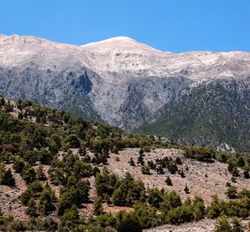 Baumgrenze am Gebirgsmassiv Lefka Ori auf Kreta