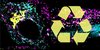 Fluoreszenzmikroskopisches Bild einer Zelle: Das Protein ARF-1 (gelb) steuert das Recycling in der Zelle. 