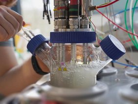 Ein Bioreaktor im Labor 