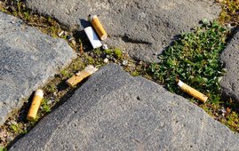 Zigarettenstummel auf einem Weg
