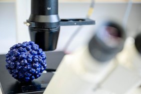 Forschende haben einen Wirkstoff gefunden, der Hepatitis-E-Viren an der Vermehrung hindert. 