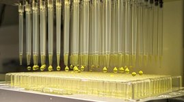 Multipipetten im Hochdurchsatz-Roboter 