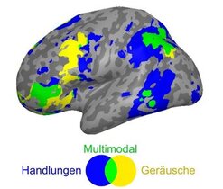 Wissen über die Welt