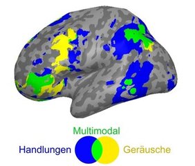 Wissen über die Welt