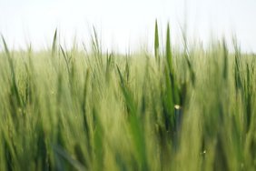 Blick in Gerstenfeld