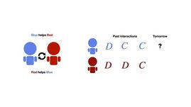 Grafik