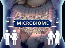 Grafik  Das alternde Immunsystem verliert die Kontrolle über das Mikrobiom