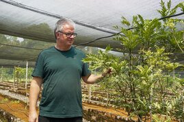 Professor Dr. Arnold Grünweller mit einem Aglaia-Strauch im Sarawak Biodiversity Center (SBC) in Borneo. Aus dieser Pflanze isolieren SBC-Mitarbeiter Silvestrol, mit dem Grünweller und sein Team arbeiten.