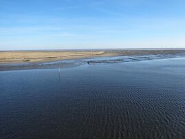 Das niedersächsische Wattenmeer ist eine der Regionen, die im Mittelpunkt des internationalen Projekts "MARISCO" stehen. 