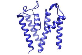 3D Darstellung Untereinheit des neu entdeckten Tandem-Kaliumkanals, in der zwei porenbildende Proteindomänen direkt miteinander verbunden sind.
