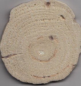 Querschnitt durch eine kugelförmige Porites Rollkoralle aus den Miozän-zeitlichen Ablagerungen des Wiener Beckens. 