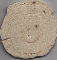 Querschnitt durch eine kugelförmige Porites Rollkoralle aus den Miozän-zeitlichen Ablagerungen des Wiener Beckens. 