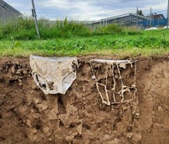 Leicht oder stark zersetzt? Je aktiver die Bodenlebewesen, desto schneller der Abbau des Baumwollmaterials. Zersetzte Unterhosen vor Bodenabgrabung