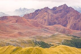Red Mountain in Neuseeland. Das Bild zeigt beispielhaft, wie der Gesteinsuntergrund die Vegetation beeinflussen kann. 