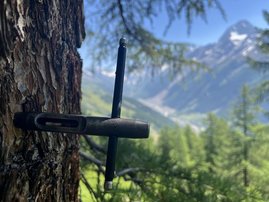 Entnahme von Bohrkernen im Lötschental Entnahme von Bohrkernen im Lötschental