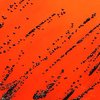Typisch schwarze Kolonien von Diphtheriebakterien (Corynebacterium diphtheriae), kultiviert auf einem speziellen Nährmedium in einer Petrischale. 