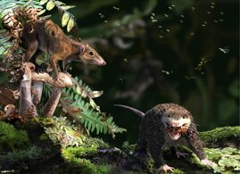 Lebendrekonstruktion von zwei gleichzeitig existierenden Arten aus der späten Jurazeit