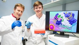 Haben drei Genscheren für die Forschung geschärft: Molekularbiologe Dr. Reto Eggenschwiler (links) und der wissenschaftliche Mitarbeiter Mika Opitz. Haben drei Genscheren für die Forschung geschärft: Molekularbiologe Dr. Reto Eggenschwiler (links) und der wissenschaftliche Mitarbeiter Mika Opitz.
