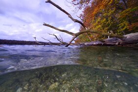 biologischen Vielfalt in Binnengewässern