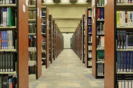 Bücher in Regalen