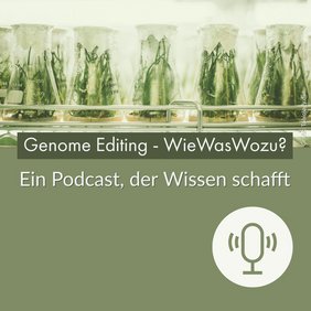 Genome Editing – WieWasWozu Grafik