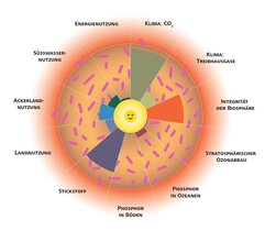 grafische Darstellung des ökologischen Donut