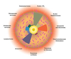 grafische Darstellung des ökologischen Donut