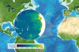 Grafik zur Konzentration von Chlorophyll im östlichen äquatorialen Atlantik