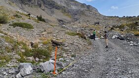 Schweizer Forschende untersuchen Pflanzen entlang einer Bergstrasse