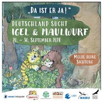 Plakat der Aktion "Deutschland sucht Igel und Maulwurf"  
