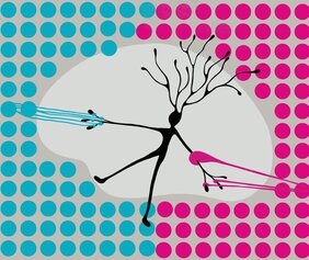 visueller Thalamus der Maus 