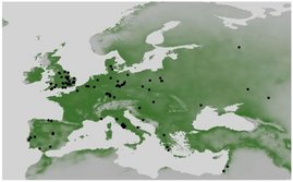 Grafik Heutige potenzielle Verbreitung des europäischen Waldelefanten (Palaeoloxodon antiquus) in Europa.