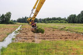 CO2-Ausstoß durch die alternative Nutzung auf Hochmoorgrünland