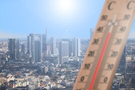 Foto einer Grioßstadt mit Hochhäusern im Hintergrund. Im Vordergrund Holzthermometer