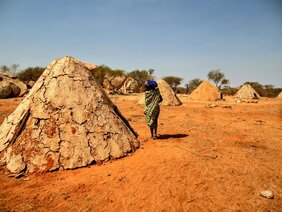 Afrika genetische Geschichte