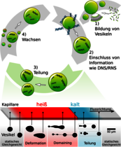 Ursprung des Lebens