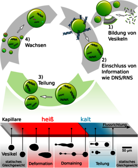 Ursprung des Lebens