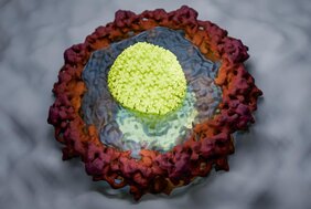 Künstlerische Darstellung, wie das HIV-Kapsid die Gelee-artige Permeabilitätsbarriere einer Kernpore durchdringt.