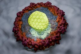 Künstlerische Darstellung, wie das HIV-Kapsid die Gelee-artige Permeabilitätsbarriere einer Kernpore durchdringt.