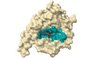 Proteinstruktur in 3D