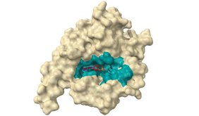 Proteinstruktur in 3D