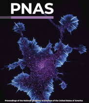 Cover der Zeischrift PNAS