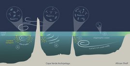 Grafik Drei physikalische Prozesse – unterschiedliche Ökosysteme