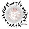 Übersichtsdiagramm über die Neophobie und Verwandtschaftsbeziehungen der verschiedenen untersuchten Vogelarten.