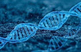 DNA-Doppelstrang